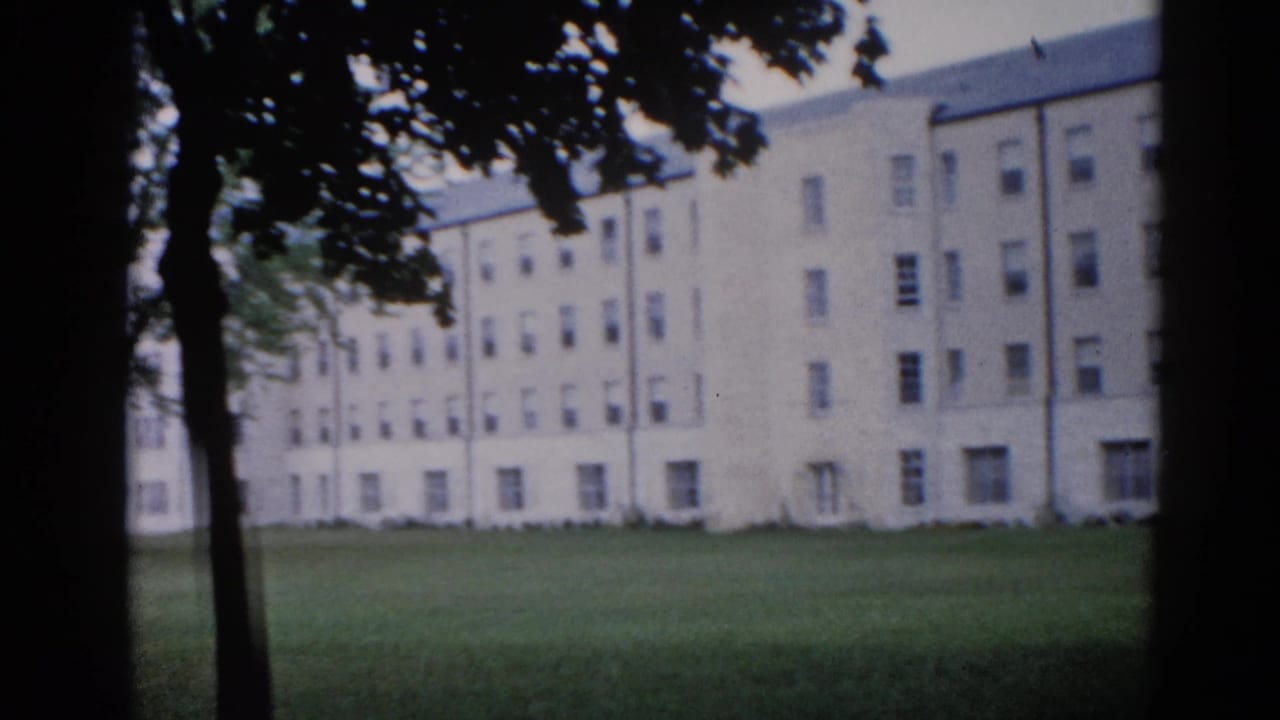 Large pale multi-story institutional building seen through dark foreground tree trunks across an open green lawn.