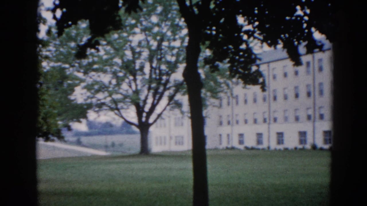 Long pale institutional building across a green lawn, with a large deciduous tree prominent at right and foreground tree trunks at the edges.