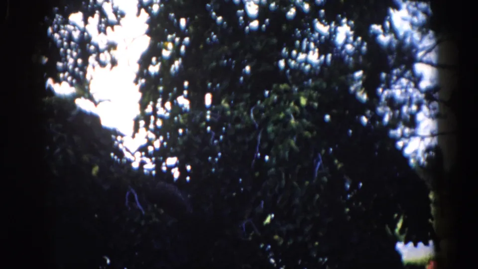 8mm film frame showing tree canopy and overexposed sky — an amateur camera adjustment before framing the main subject on the convent grounds.