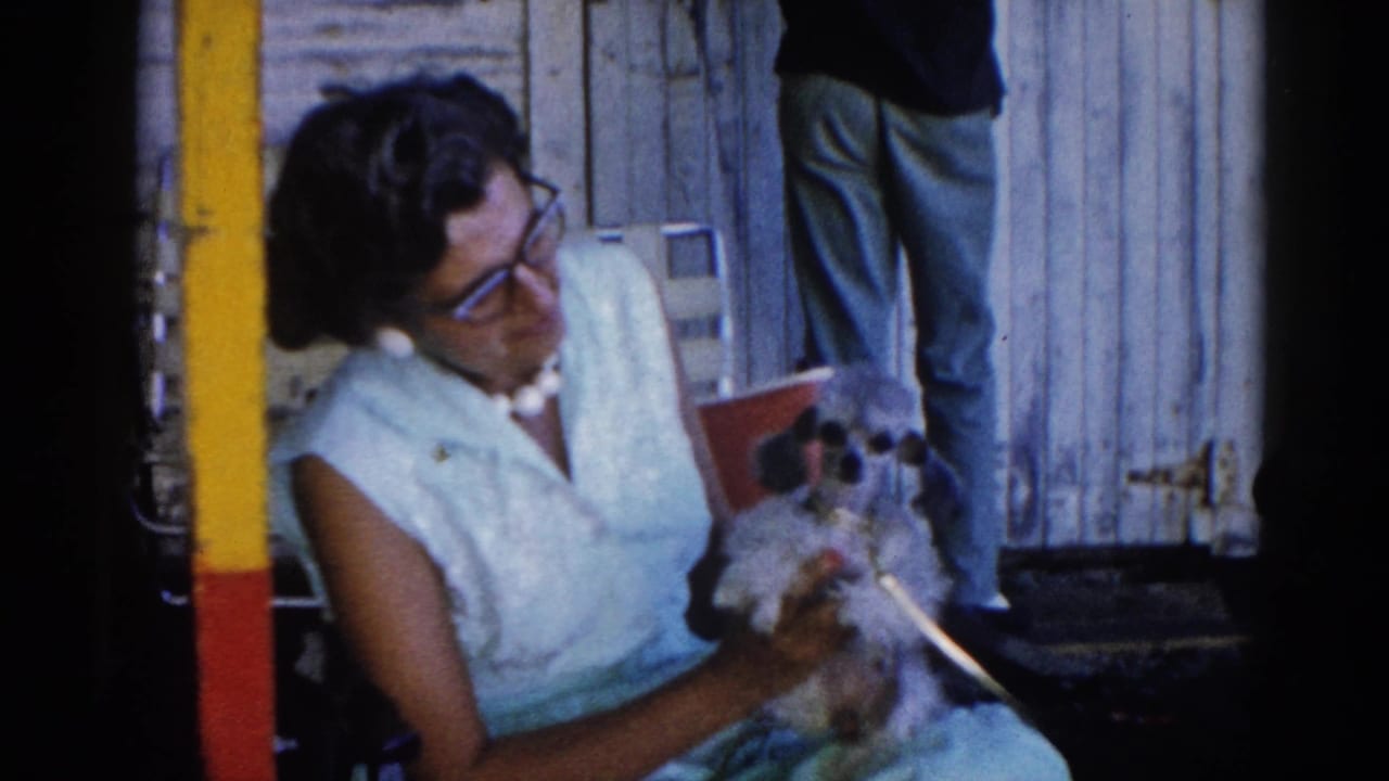 Woman in early 1960s dress and cat-eye glasses holds a small fluffy dog at an Illinois fairground, circa 1962