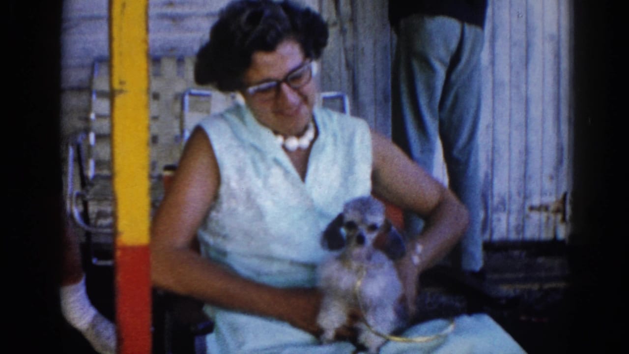 Middle-aged woman in early-1960s cat-eye glasses and light blue shift dress cradles a small dog in a backyard setting, Illinois, circa 1962, 8mm home movie.