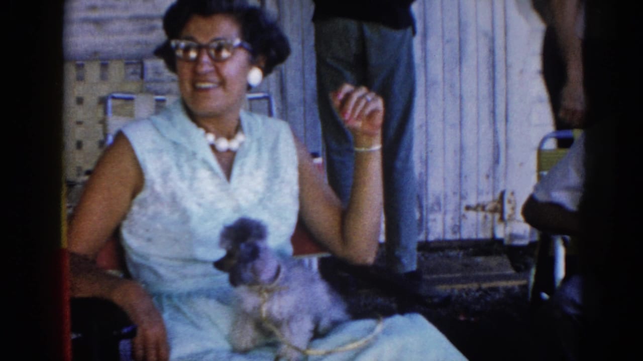 Woman in early 1960s light blue sleeveless dress, cat-eye glasses, and pearl necklace, seated with a gray poodle on her lap; outdoor setting, Illinois, circa 1962.