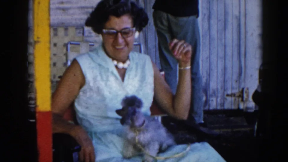 Woman in light blue dress and cat-eye glasses laughing with gray poodle; outdoor setting, Illinois, circa 1962; partial figure visible in background.