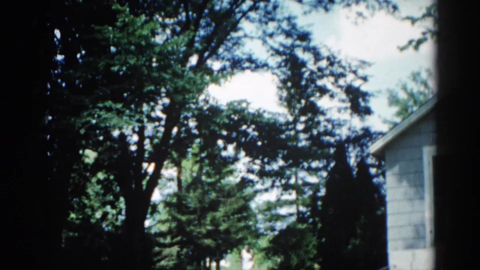 Establishing 8mm shot from Illinois, 1962, showing large shade trees and suburban house exterior on a sunny summer day.