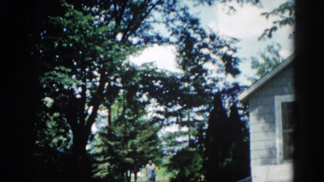 Wide shot of leafy trees and suburban house exterior; a small figure may be visible in the background yard.
