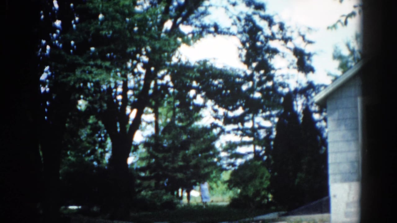 Mature deciduous trees in full summer foliage with a narrow conifer behind; residential house eave visible at right edge.