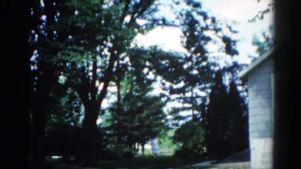 8mm home movie frame, Illinois circa 1962, showing large summer trees, a conifer, and a house eave; figure partially visible at left.