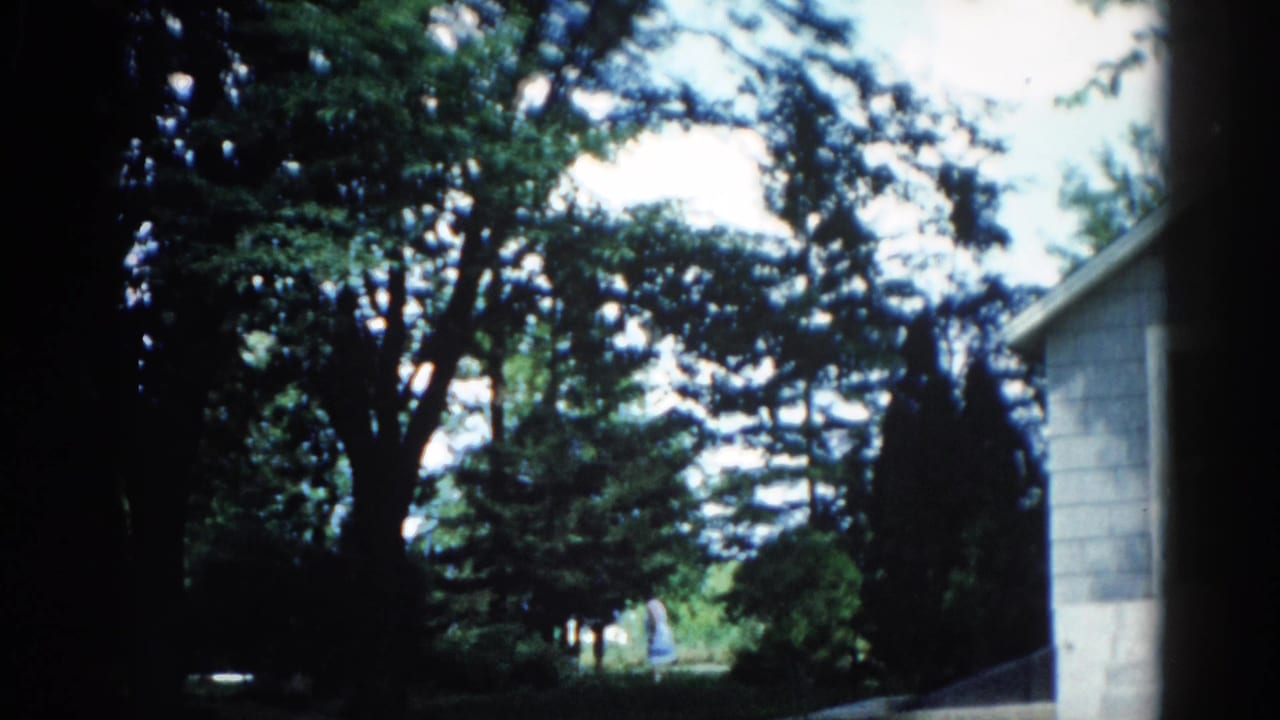Dense green deciduous tree canopy with narrow conifer behind; residential roofline and siding at right; figure partially visible at left.