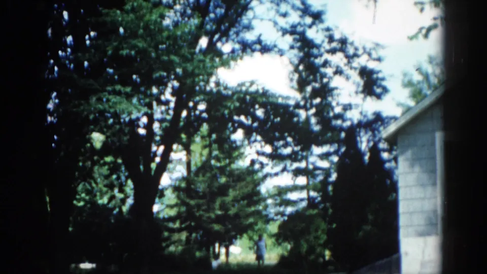 8mm home movie frame, Illinois circa 1962; mature yard trees and a residential structure; figure partially obscured by foliage at frame edge.