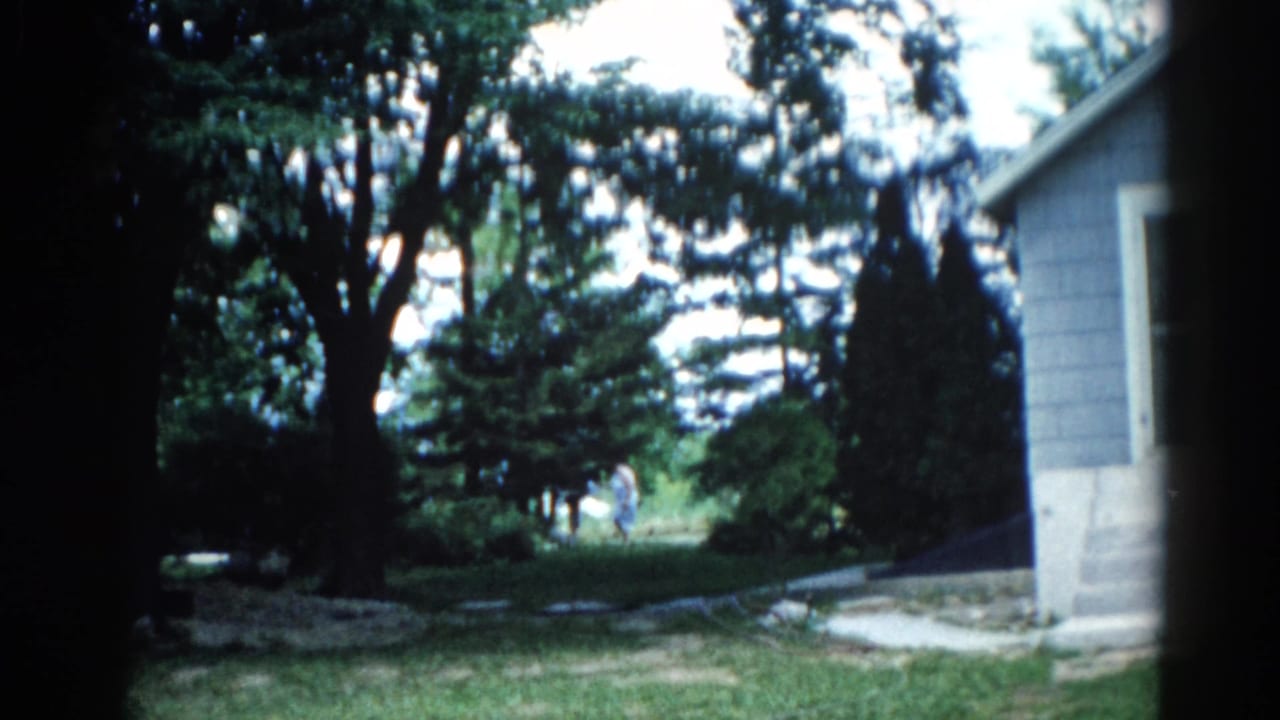 Backyard scene with gray-sided outbuilding, large deciduous trees, and green lawn; small figure visible in background.