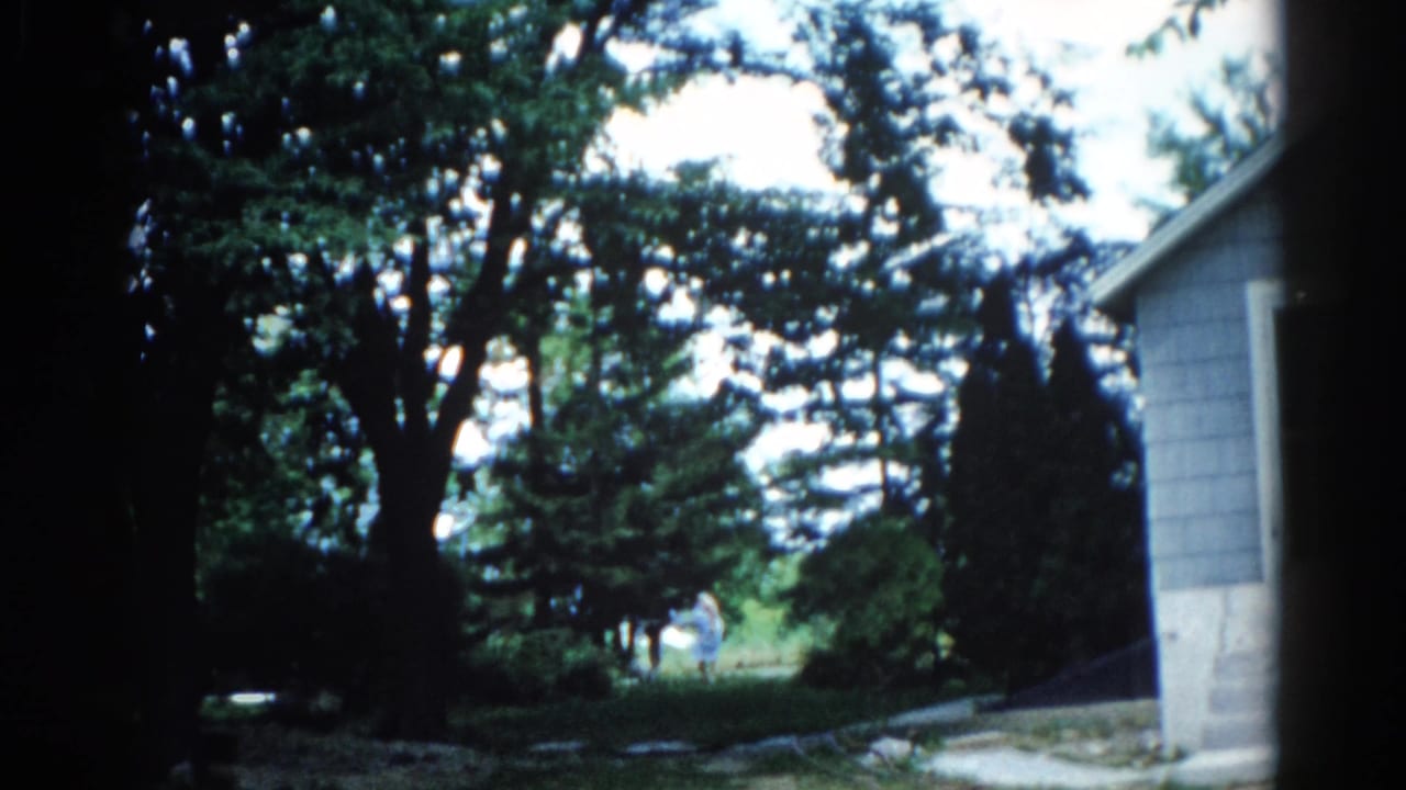Illinois backyard, circa 1962: gray lap-siding structure, mature deciduous trees, green grass, bright overcast sky suggesting stormy weather.