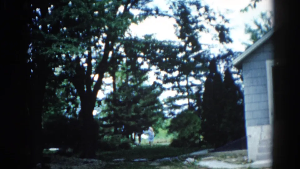 Illinois backyard, circa 1962: gray lap-siding structure, mature deciduous trees, green grass, bright overcast sky suggesting stormy weather.