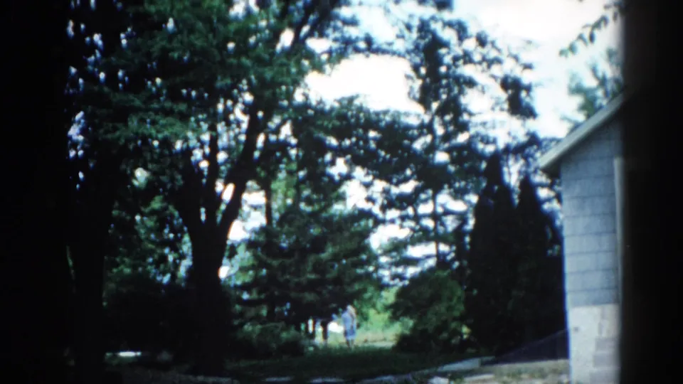 Illinois backyard, circa 1962: camera tilted upward showing tree canopy against overcast sky; gray structure at right; exposure darkens toward bottom.