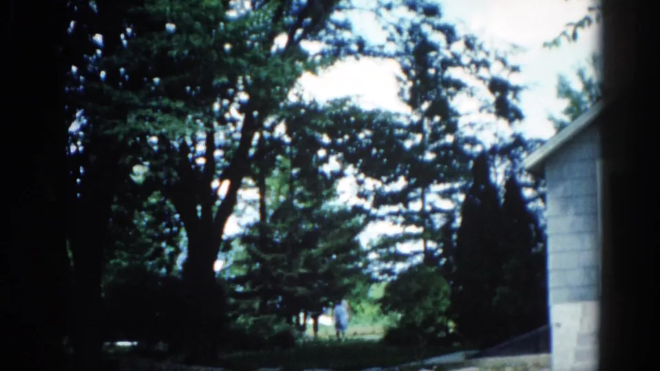 Illinois backyard, circa 1962: wide tree canopy fills frame against bright overcast sky; gray structure at right; characteristic 8mm dark vignette at borders.