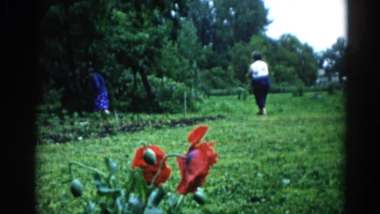 Two adults in a large yard seen from behind, red poppies in the foreground, trees in the background.
