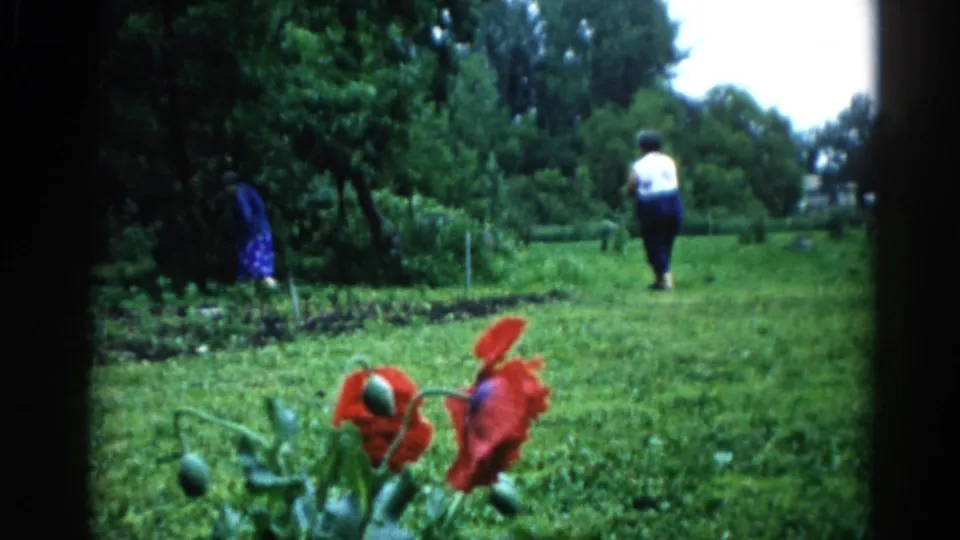 8mm home movie frame, c. 1962, Illinois: near-identical composition to first frame, both adults further into the yard, poppies still prominent.