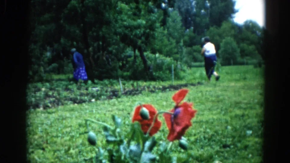 8mm home movie frame, c. 1962, Illinois: the two figures have separated slightly across the yard with cultivated garden beds visible mid-frame.