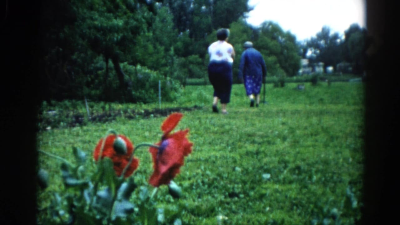 Two older women walk away from camera through a green garden in Illinois, c.1962; red poppy blooms prominent in the foreground