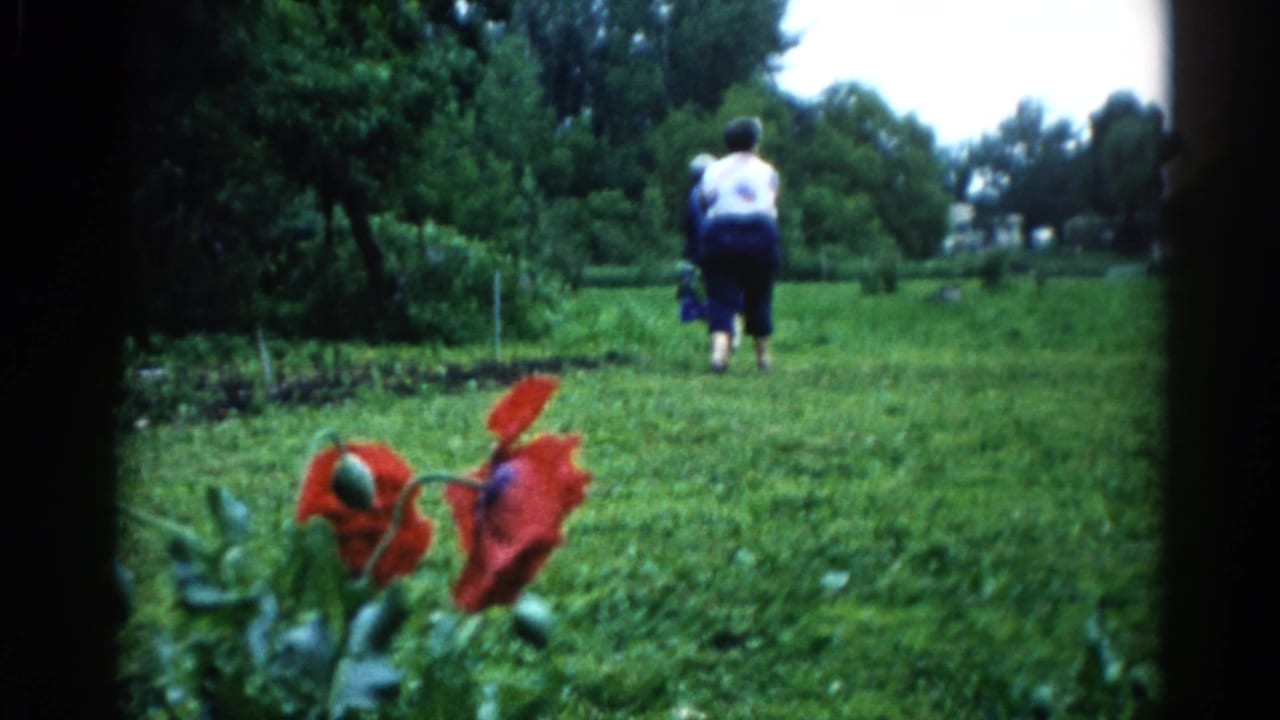 Two older women in a garden c.1962 Illinois — one in white top drifts right of frame, the other in blue dress continues away; red poppies foregrounded