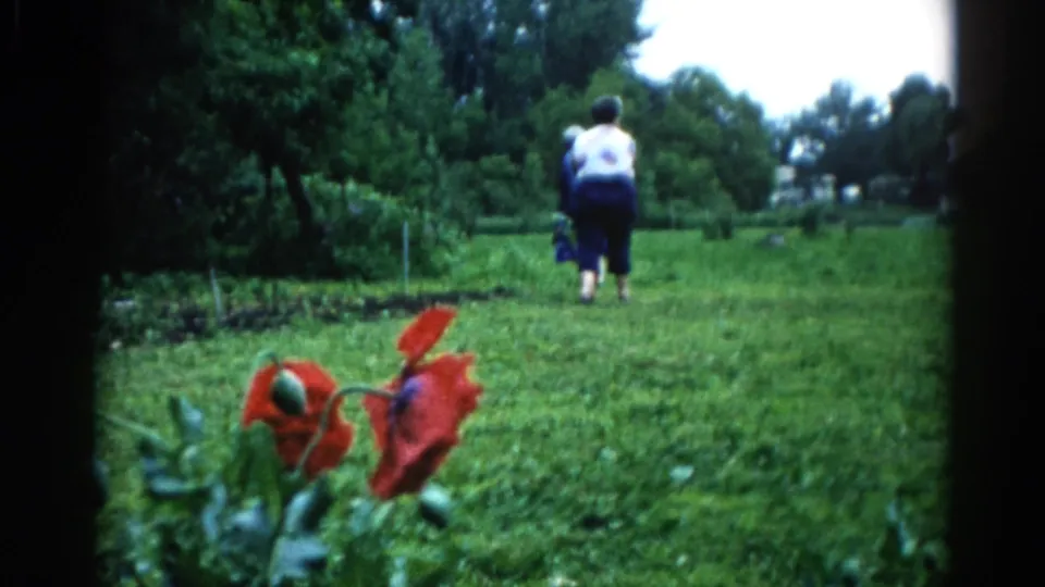 Two older women in a garden c.1962 Illinois — one in white top drifts right of frame, the other in blue dress continues away; red poppies foregrounded