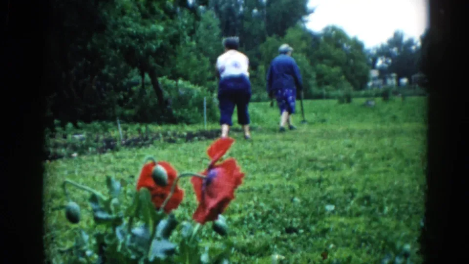 Two women — one in a white top and dark pants, one in blue — walking away through a backyard garden in Illinois, circa 1962, with red poppies in the foreground.