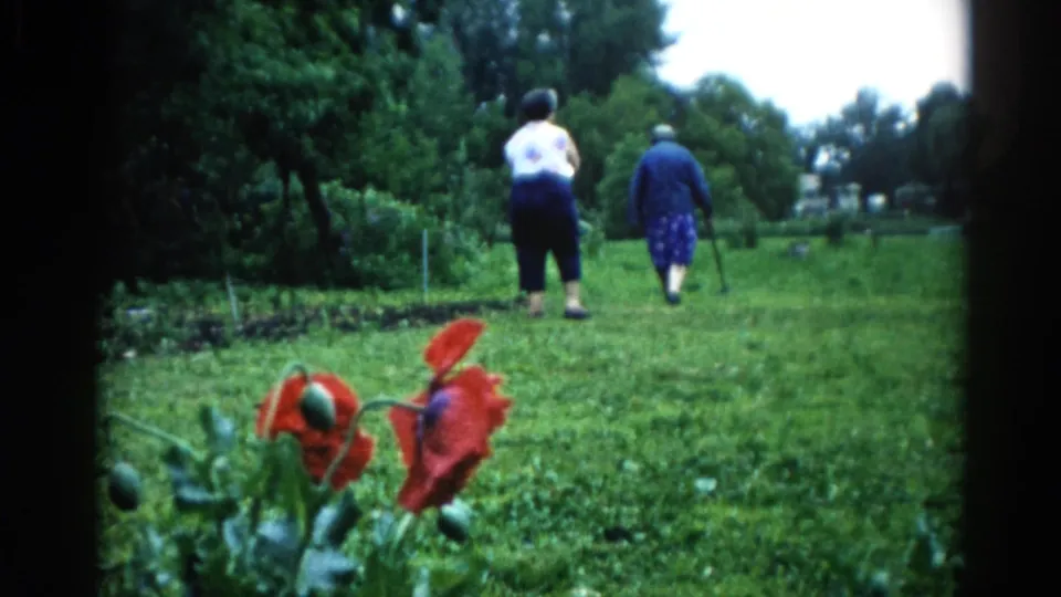 Continuation shot of two women walking through a backyard garden in Illinois, circa 1962, red poppy blooms prominent in the lower foreground.