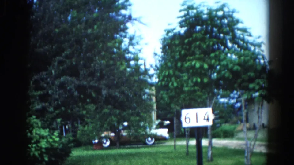 White '614' address marker at right edge, dense mature tree canopy, and partial rear end of a light-colored 1950s automobile; 8mm home movie, Illinois, 1962.