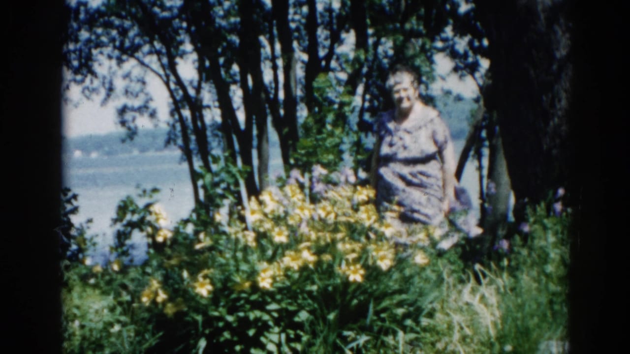 Woman in patterned dress standing among yellow daylilies with tall trees and a lake visible behind her.