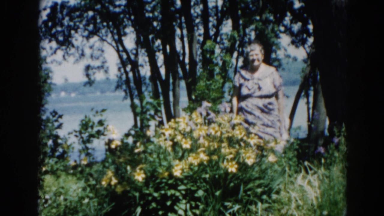 Woman in patterned dress among yellow daylilies; wide framing similar to opening frame, lake and trees behind.