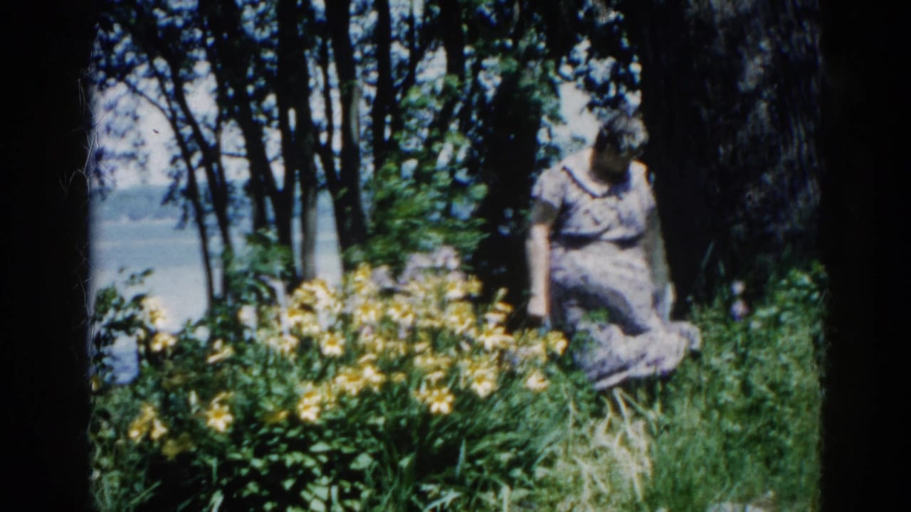 Older woman in patterned dress among yellow wildflowers at an Illinois lakeside, circa 1962, shot on 8mm home-movie film.