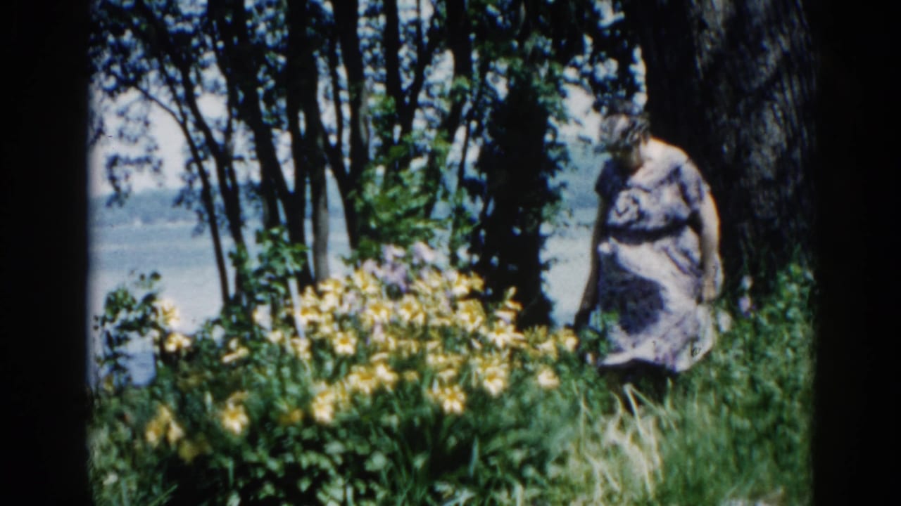 Older woman in patterned dress among yellow wildflowers near lakeside trees, slightly different stance from previous frame.