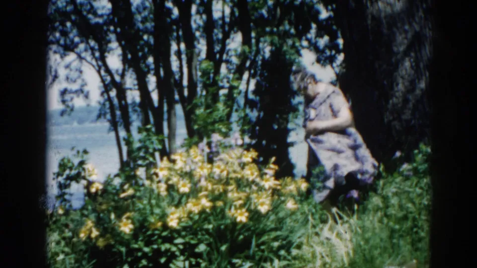 Older woman bending among yellow wildflowers at an Illinois lakeside, circa 1962, captured on 8mm home-movie film.
