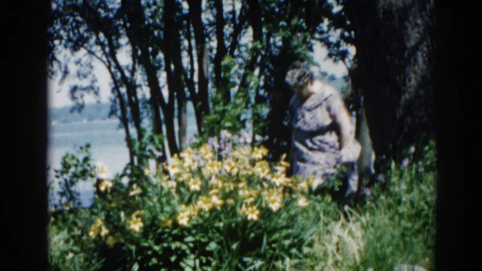 Older woman standing among yellow wildflowers at an Illinois lakeside, circa 1962, 8mm home-movie footage.