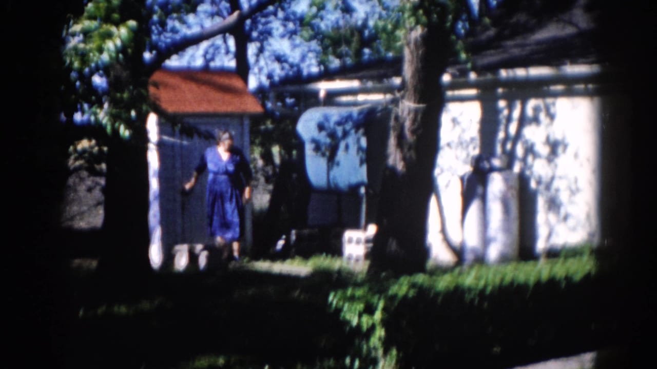 Woman in blue dress standing near a white outbuilding with red roof, under leafy trees in a sunlit backyard.