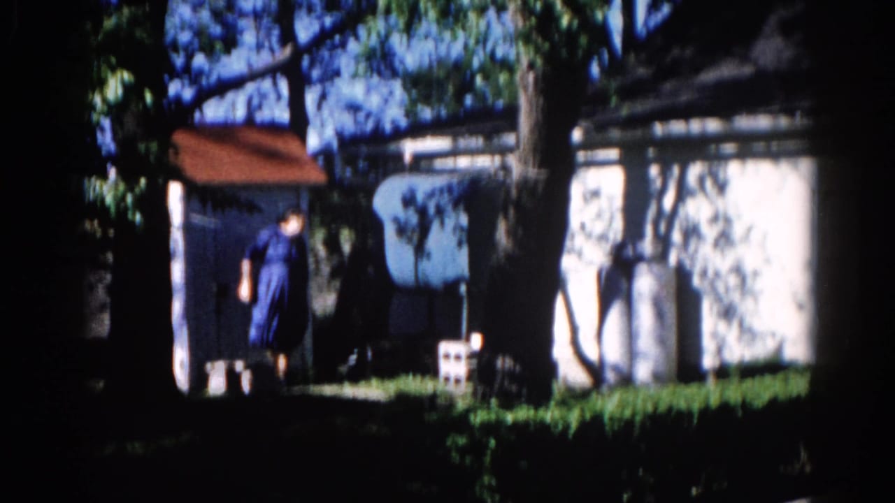 Woman in blue dress near white shed with red roof, viewed from slightly greater distance under shading trees.