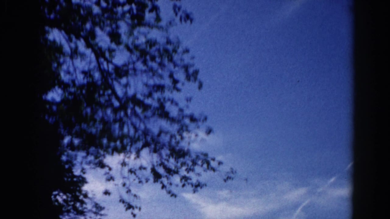 Blue sky visible through tree canopy, establishing outdoor shot from an 8mm home movie.