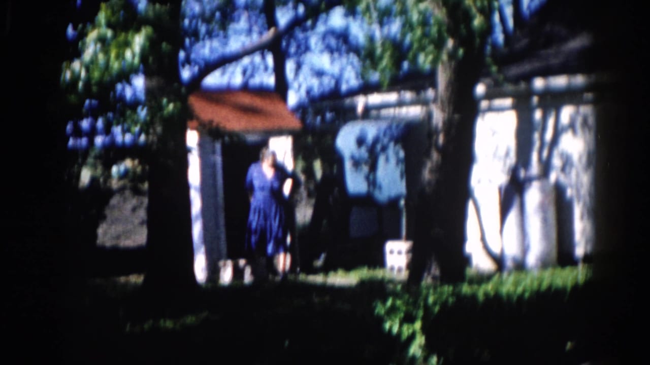 Woman in blue dress standing near small outbuilding with reddish roof, partially shaded by trees.