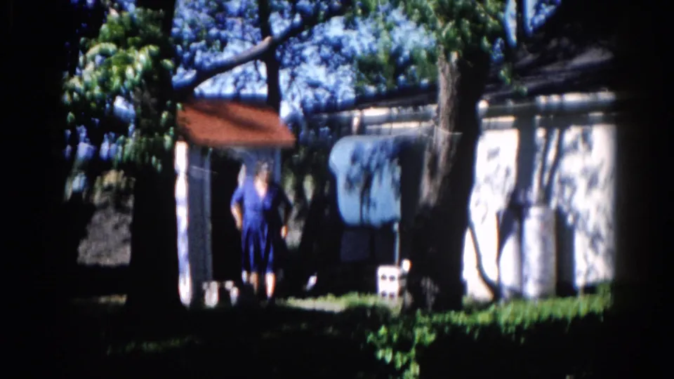 Woman in blue dress moving through a backyard in Illinois, circa 1962, with a red-roofed outbuilding, tree trunk, and small white container on the grass.