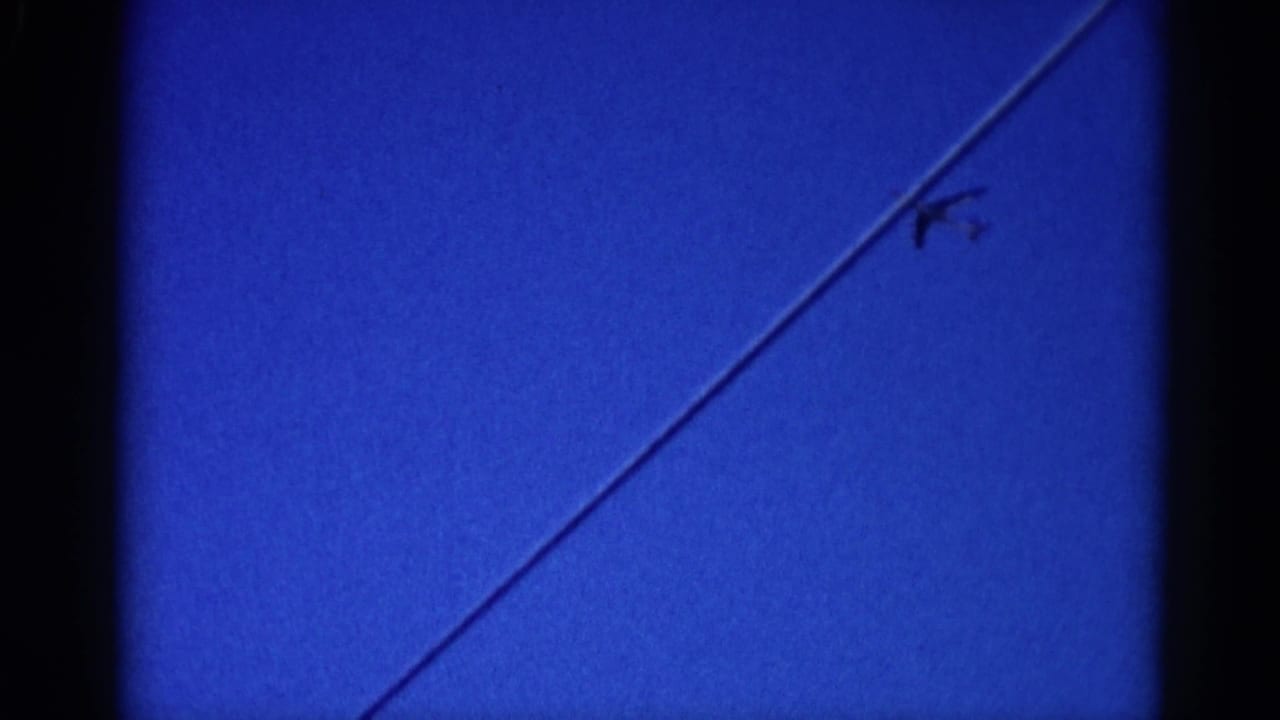 Deep blue sky with a diagonal white jet contrail; small dark aircraft silhouette visible near contrail apex; no trees in frame.
