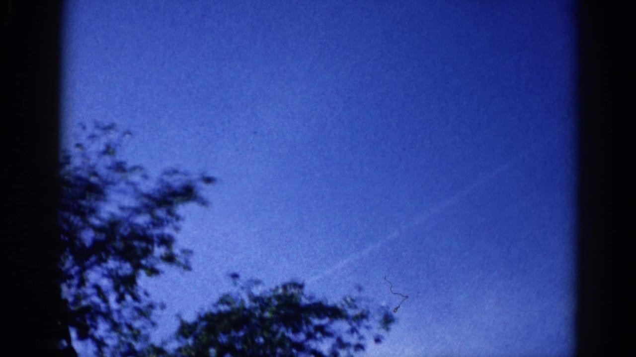 Blue sky with dark deciduous tree branches silhouetted at left and center; faint contrail visible in upper right portion.