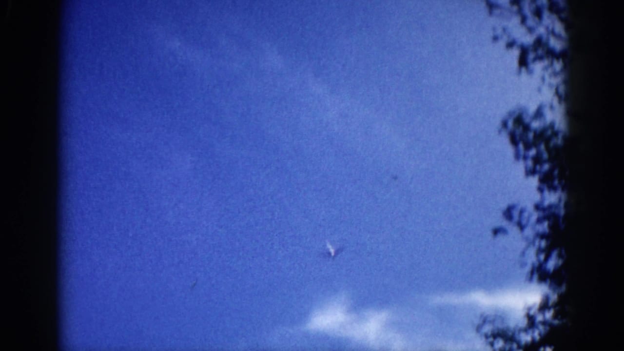 Small jet silhouette in blue sky with tree foliage at right edge and wispy clouds below.