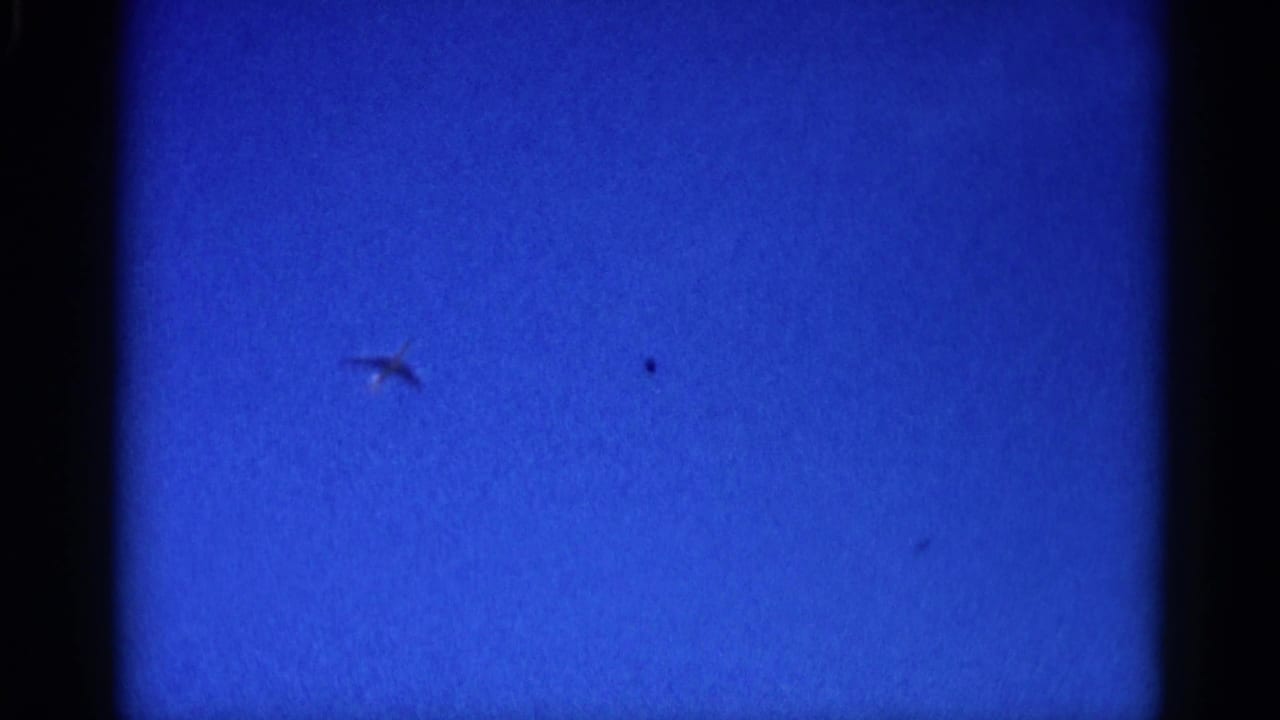 Small aircraft crossing a saturated blue sky in an 8mm home movie, likely Illinois circa 1962, before the power line enters frame.