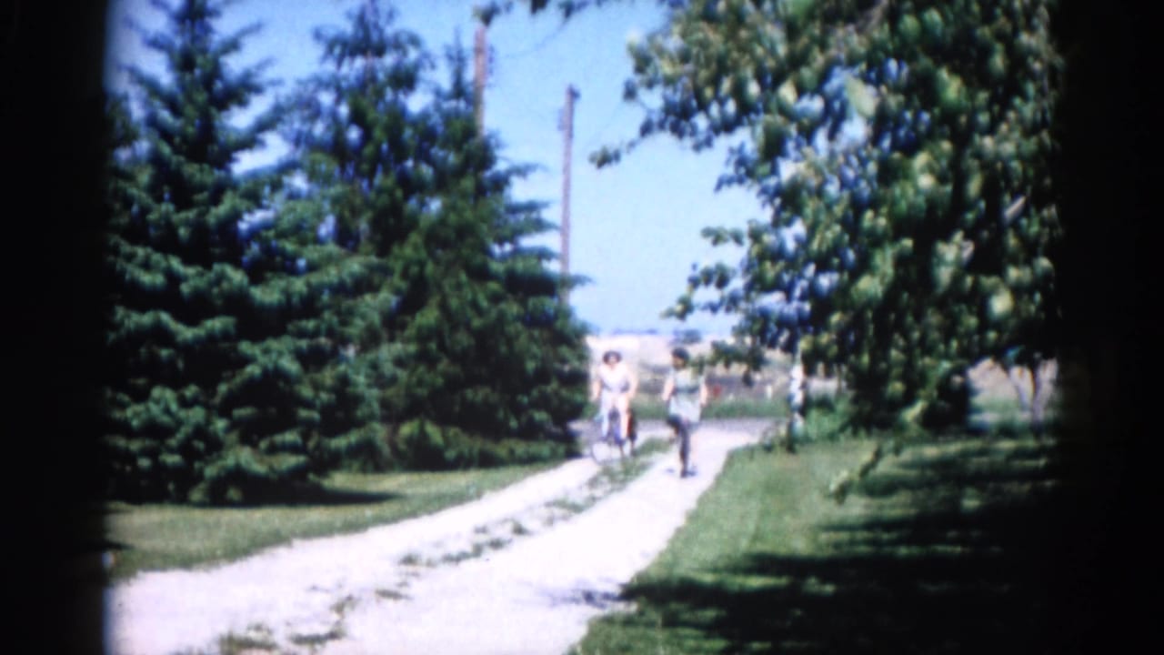 Two cyclists ride toward camera on a gravel path between tall evergreen trees, shot on 8mm film.
