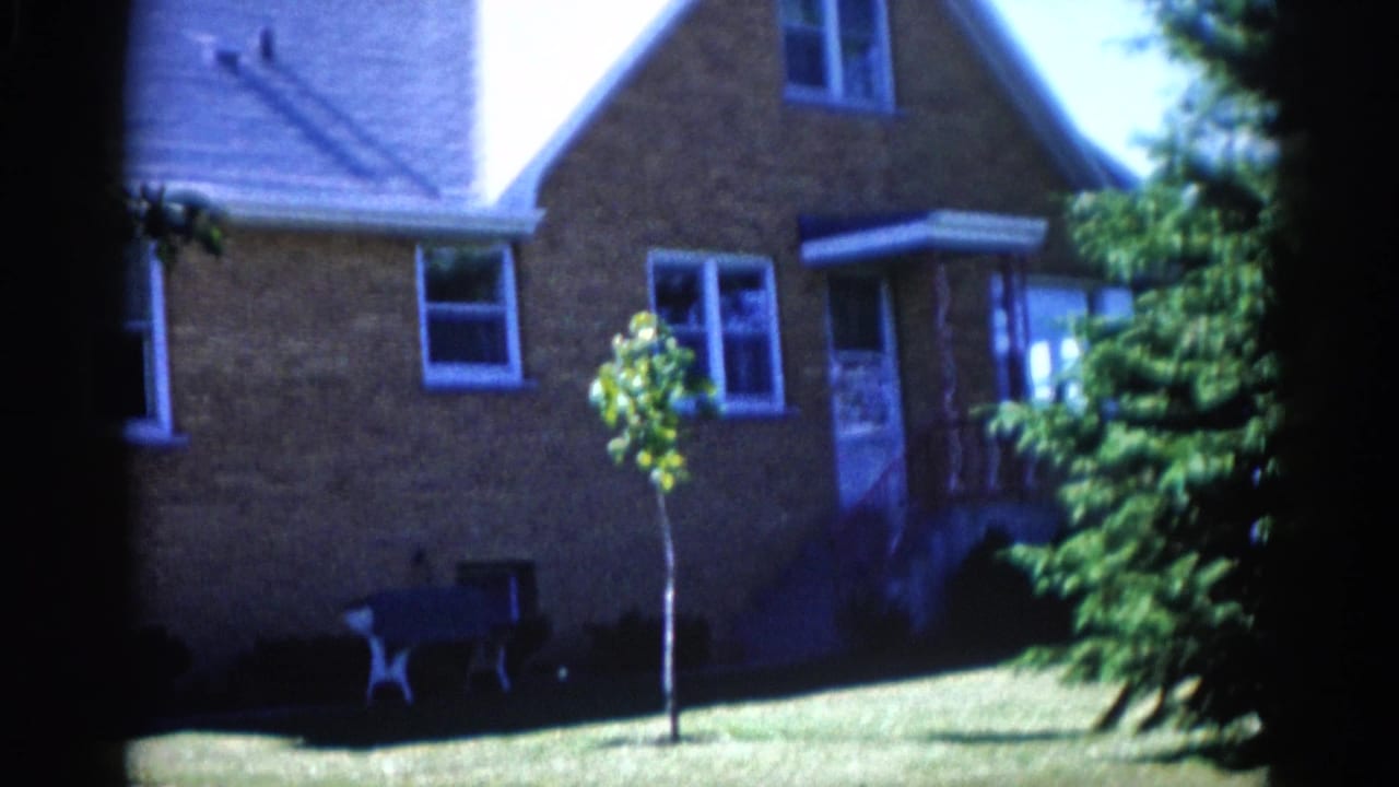 8mm film frame, c.1962 Illinois: slow pan reveals red brick house, a slender sapling at center, and a large mature evergreen tree entering from the right edge.