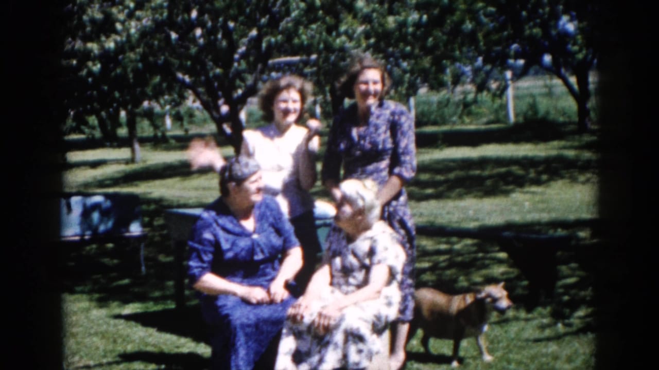 Four women pose in a sunlit backyard; two seated on a garden bench, two standing behind, with a small brown dog at lower right.