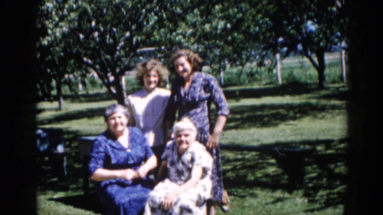 Multigenerational group of four women posing in a sun-dappled backyard, Illinois, 1962; two seated in front, two standing, in early 1960s dresses.