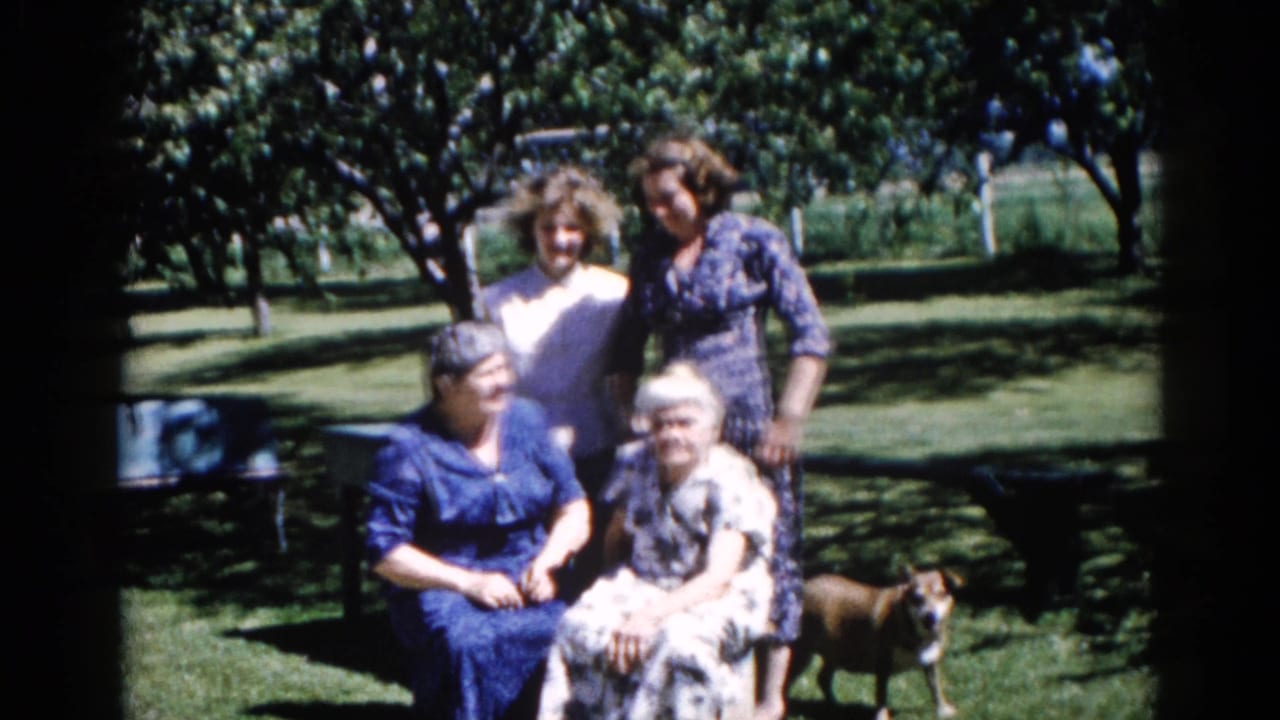 Women posing in a sun-lit Illinois backyard, 1962; a brownish medium-sized dog enters at right as the group shifts position slightly.
