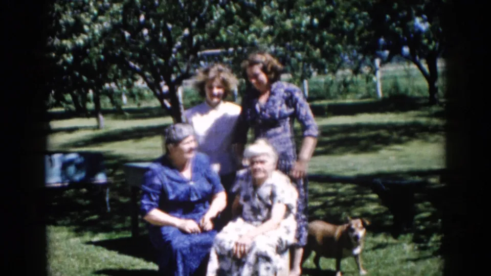 Women posing in a sun-lit Illinois backyard, 1962; a brownish medium-sized dog enters at right as the group shifts position slightly.