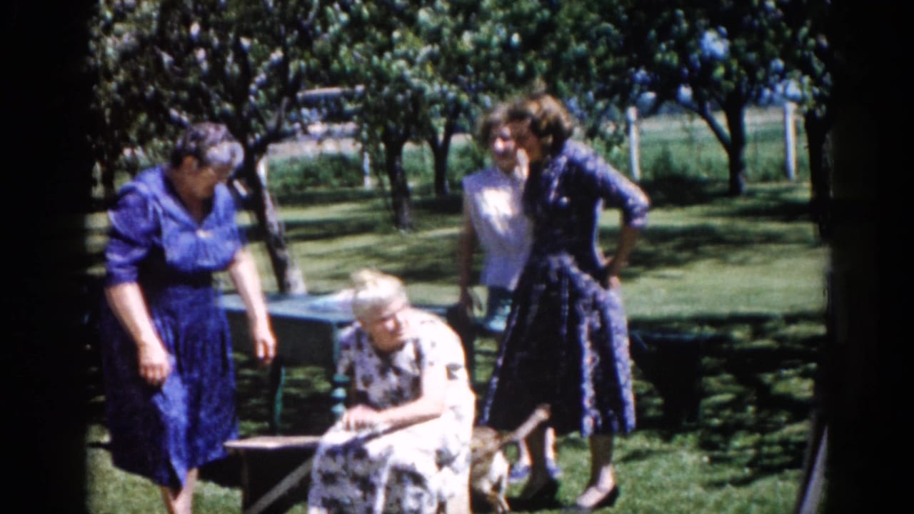 Four women in a sunny garden; one older woman is seated while three others stand or lean close beside her, mature trees behind.