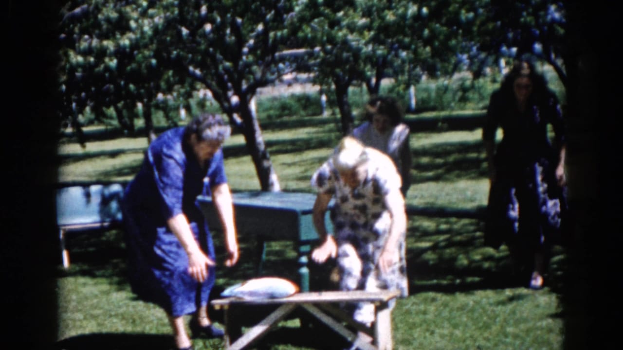 Three adult women in early-1960s dress around a green picnic table in an Illinois park setting, one bending toward the table, circa 1962.